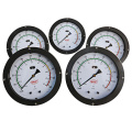 150mm 6" Differential pressure level gauge